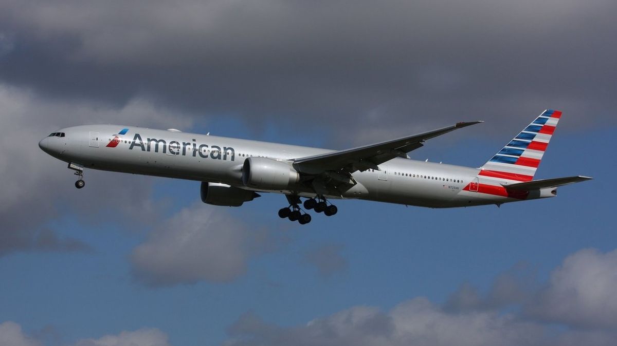 Mazlíčci jako podpora v letadle? Cestující amerických aerolinek se s nimi musejí rozloučit
